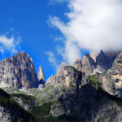 im电竞下载手机版